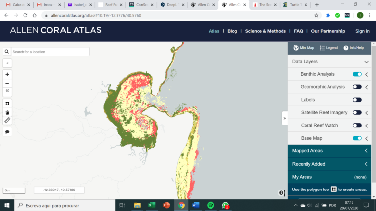 Read more about the article A UniLúrio através do CICA ajuda a mapear os recifes de corais em Moçambique